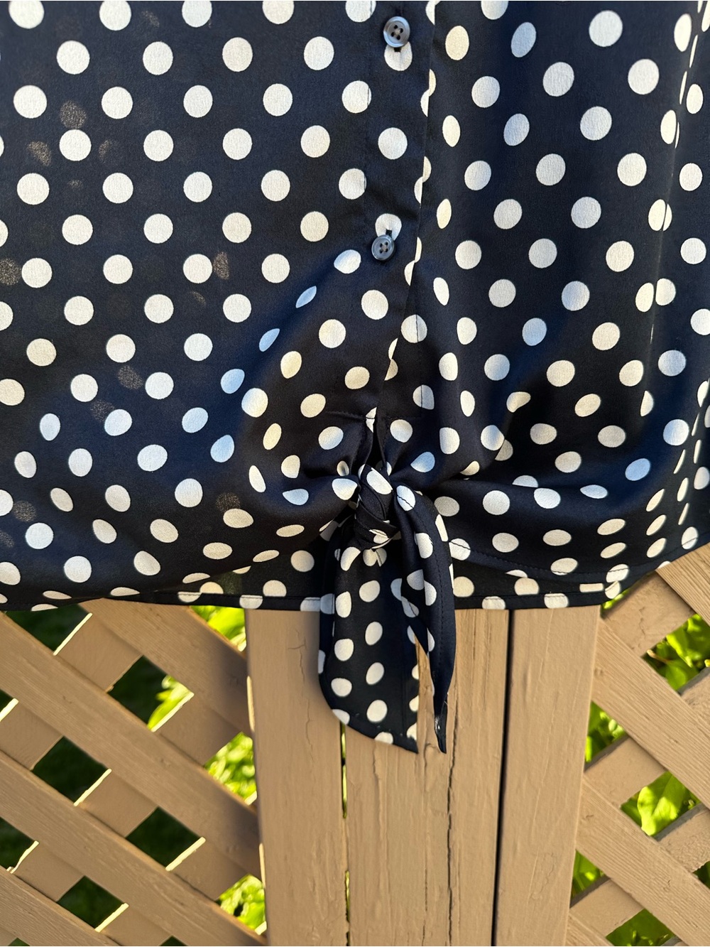 Ann Taylor Polka Dot Tie Front Sleeveless Top - XL - Picture 3 of 9